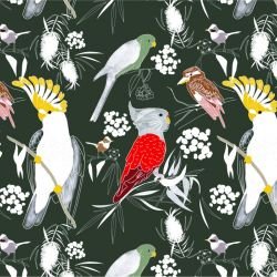 native fauna birdsong green