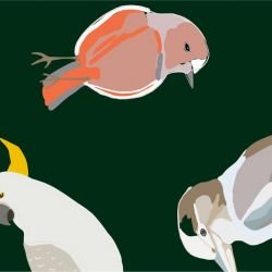 native fauna bright birds deep green detail