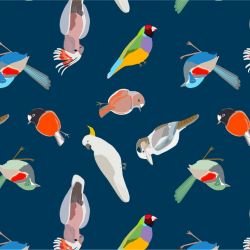native fauna bright birds navy
