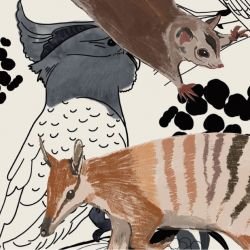 native fauna camoflauged detail