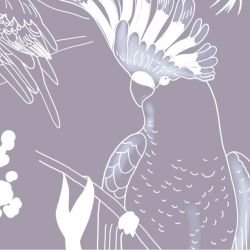 native fauna high flyers detail