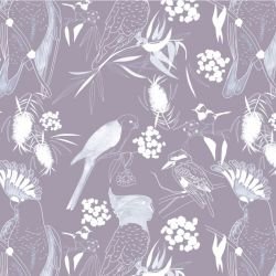 native fauna high flyers lilac