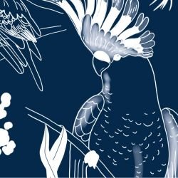 native fauna high flyers navy detail