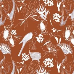 native fauna high flyers terracotta