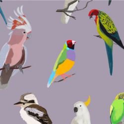 native fauna iconic aviary lilac