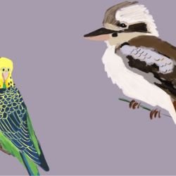 native fauna iconic aviary lilac detail