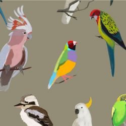 native fauna iconic aviary olive