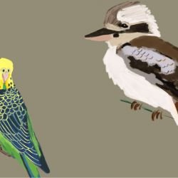 native fauna iconic aviary olive detail