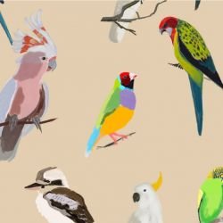 native fauna iconic aviary sand