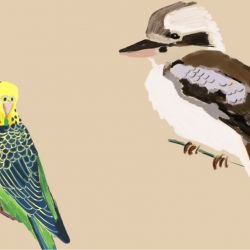 native fauna iconic aviary sand detail