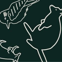 native fauna in the wild deep green detail