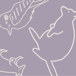 native fauna in the wild lilac detail