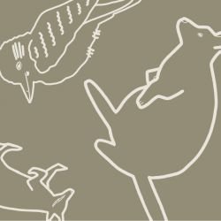 native fauna in the wild olive detail