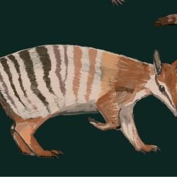 native fauna numbat and friends deep green detail