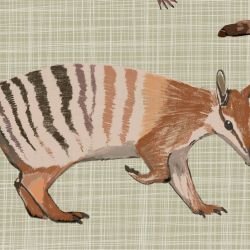 native fauna numbat and friends grasscloth detail