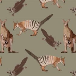 native fauna numbat and friends olive