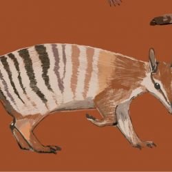 native fauna numbat and friends terracotta detail