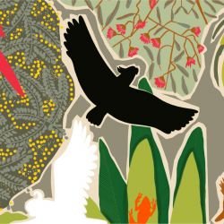 native fauna waterhole olive detail