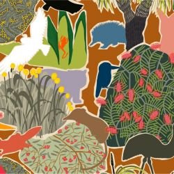 native fauna waterhole terracotta