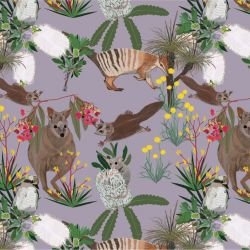 native fauna wildlife walk lilac