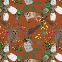 native fauna wildlife walk terracotta