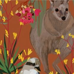 native fauna wildlife walk terracotta detail