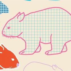 native fauna wombats cream multi detail