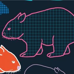 native fauna wombats navy multi detail