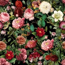 belledonna garden luxe black