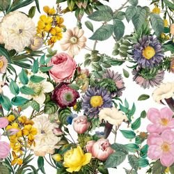 enchanted blooms white