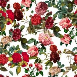 everlasting floral white