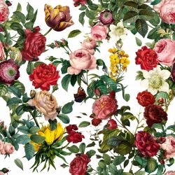 grandiose garden blooms white