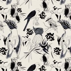 native fauna birds in the shaddow