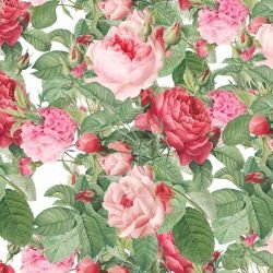 rosy blooming delights