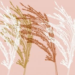 winter garden grass in the wind