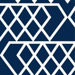 kgbasics diamond delight reverse deepsea