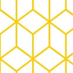 kgbasics fold daffodil