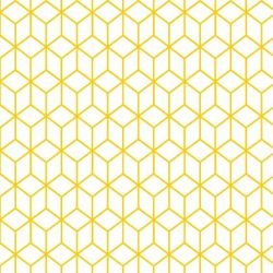 kgbasics fold quarter daffodil