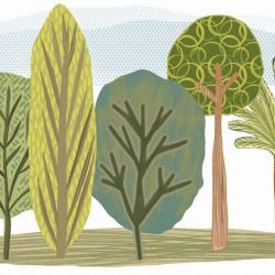 city slyline cloudy day