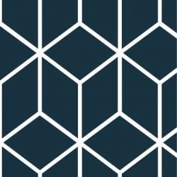 kgbasics fold reverse nightsky