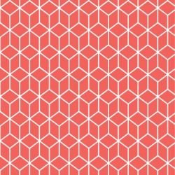 kgbasics fold reverse quarter coralreef