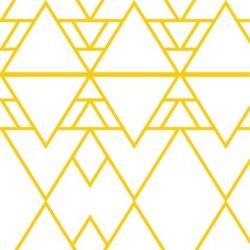 kgbasics morocco daffodil