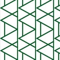 kgbasics mountain forest