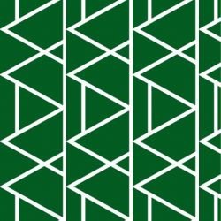 kgbasics mountain reverse forest