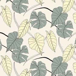 wild fronds assorted fronds carolina