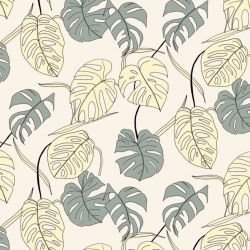 wild fronds cascading monstera carolina