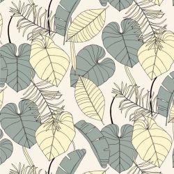 wild fronds garden variety carolina