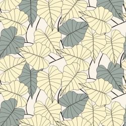 wild fronds ivy foilage carolina