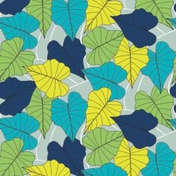 wild fronds ivy foilage rosella