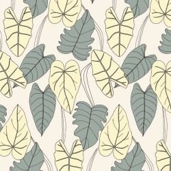 wild fronds ivy variety carolina